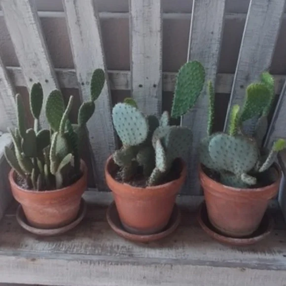 Brighton Woven Bag - Picture 6 of 6